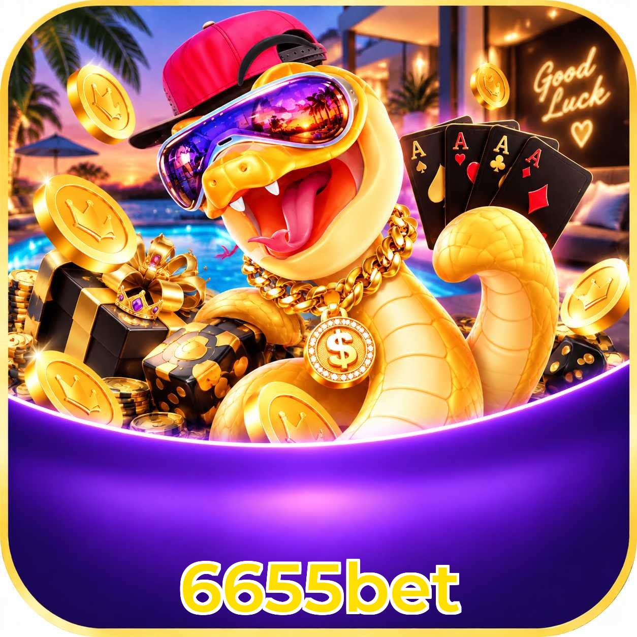 6655bet App vs Web